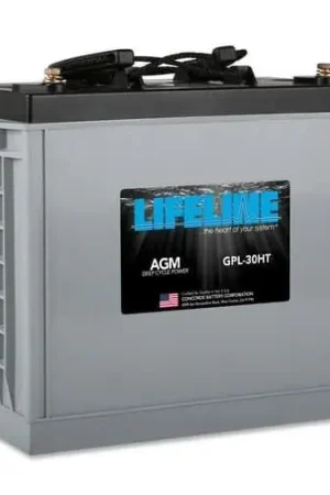Big Sale Lifeline Batteries, GPL-30HT, AGM Battery 1 review