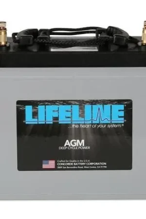 Lifeline Batteries, GPL24-T, AGM Battery 1 review Hot Picks