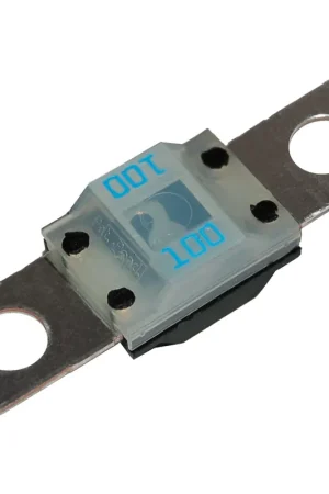 Place Order 100 amp AMI/MIDI Fuse, 2 pack