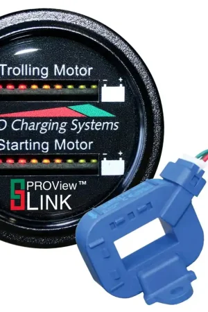 Dual Pro Lithium Battery Status Indicator W/2 Ct's Dual Marine Round Display Affordable